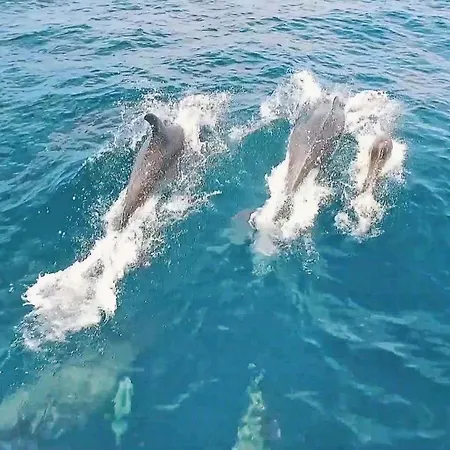 Azzurra By Algarve Vacation *