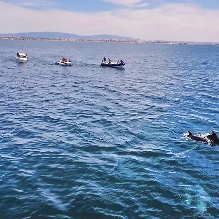 Villa Azzurra By Algarve Vacation